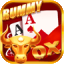 rummy signup bonus